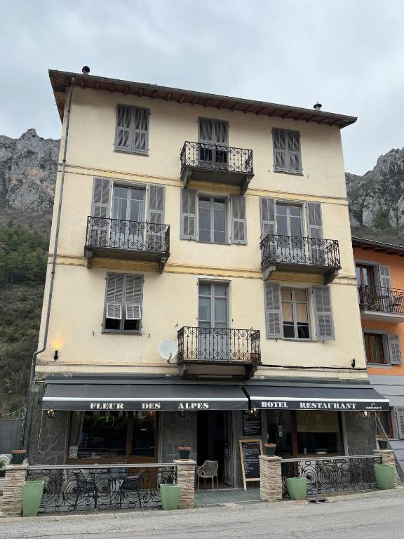 Hôtel Fleur des Alpes, photo 2